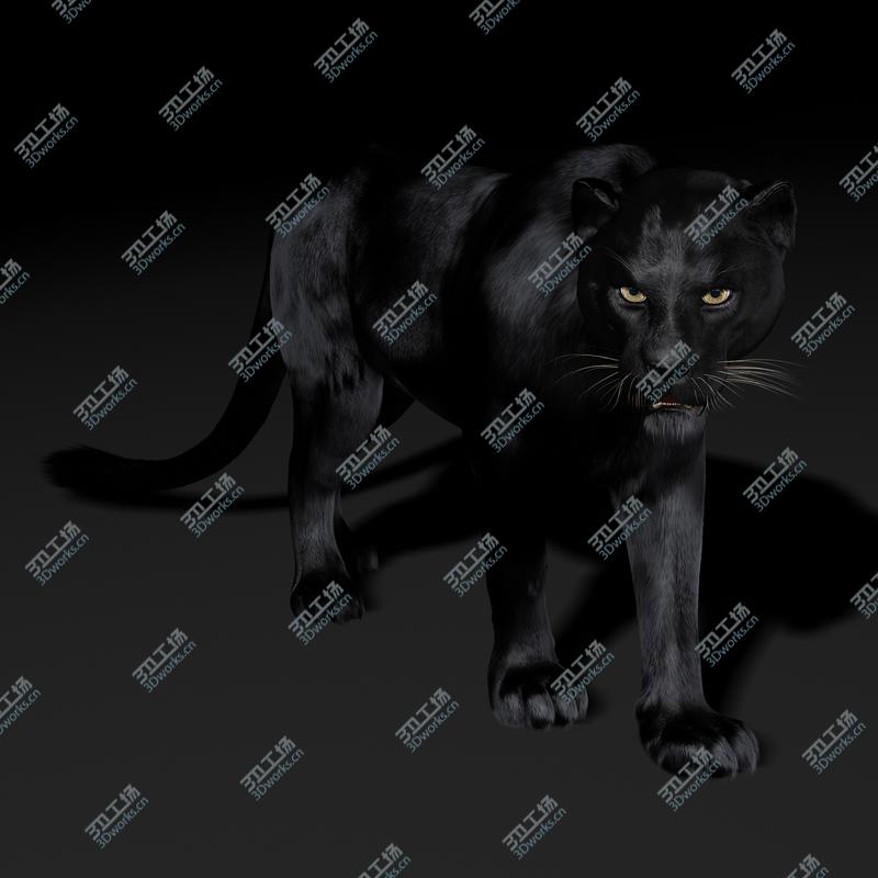 images/goods_img/20210113/Black Panther (2) (ANIMATED) (FUR)/5.jpg